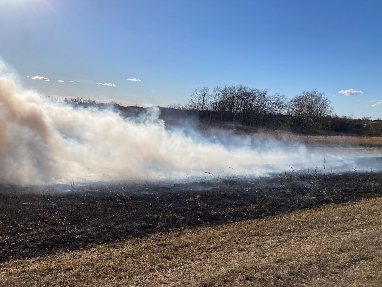 default-367 A partially burned field of grass with smoke rising up from it under a blue sky.